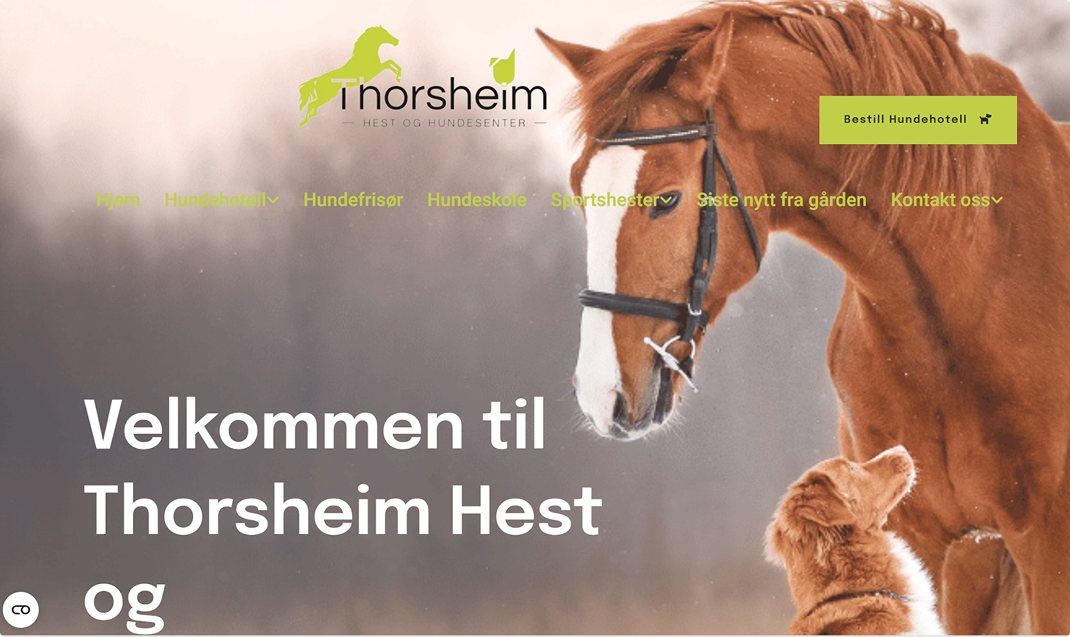 Mono Best Website Competition 2025 Showcase - Thorsheim
