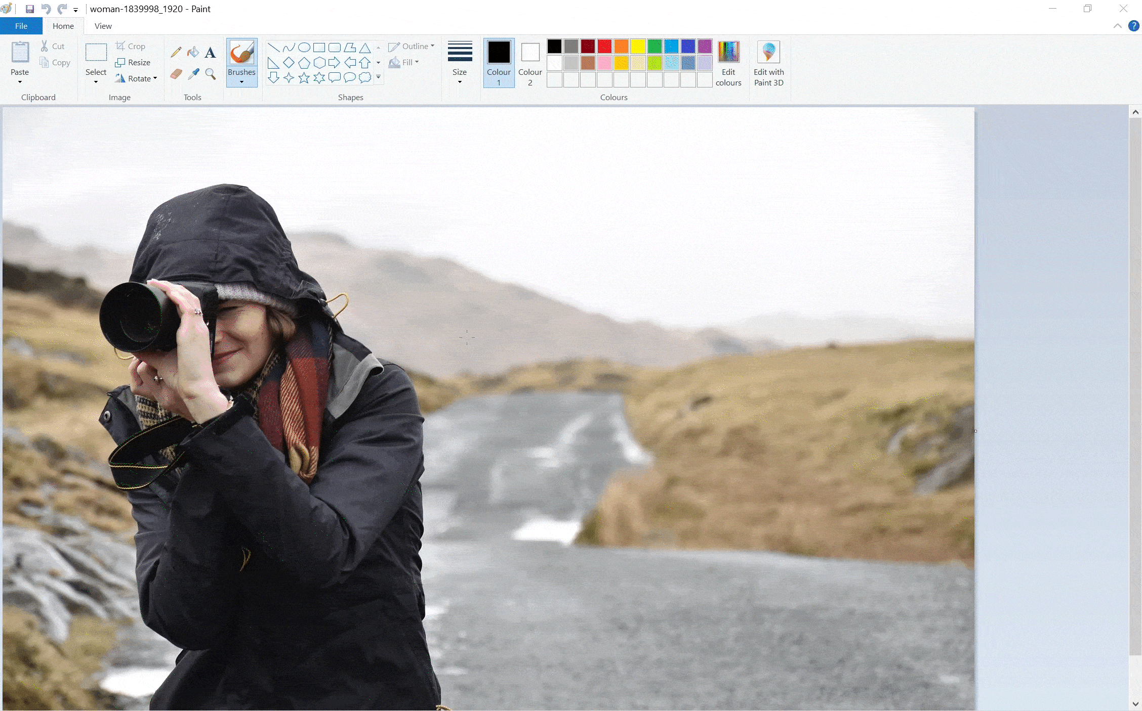 How to resize an image using paint